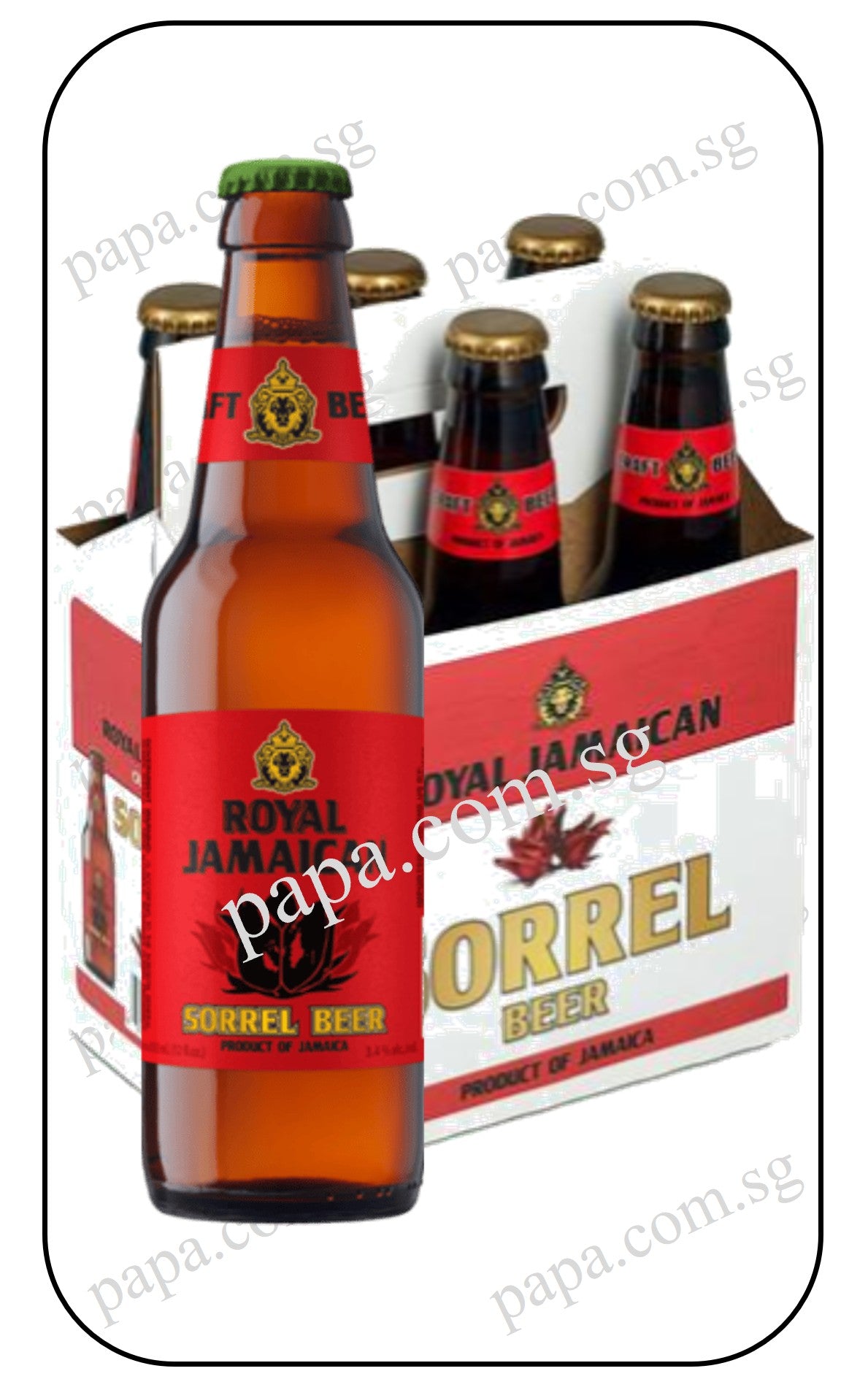 Royal Jamaican Sorrel (Hibiscus Beer)
