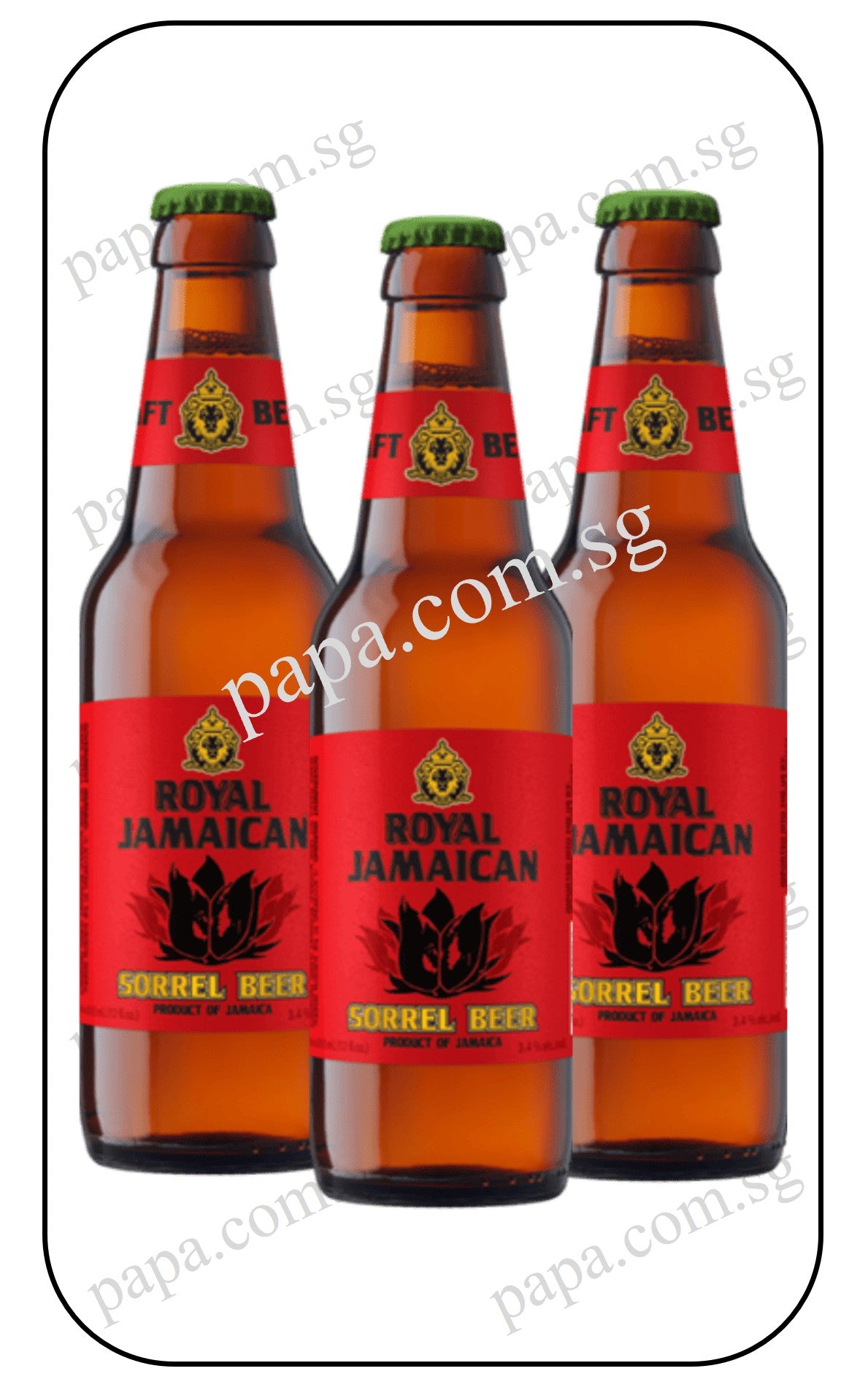 Royal Jamaican Sorrel (Hibiscus Beer)