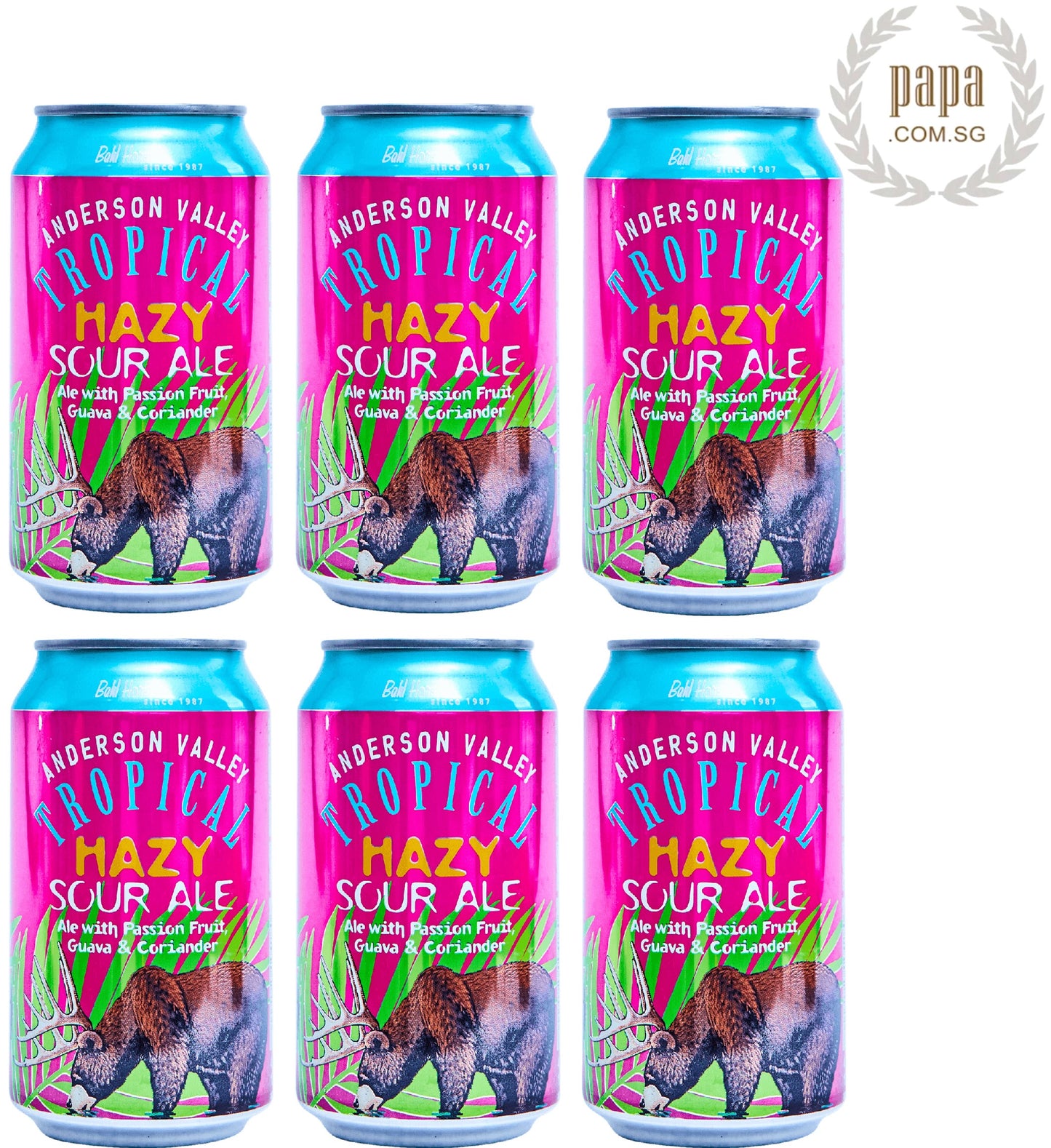 Anderson Valley Brewing Co - Tropical Hazy Sour Ale With Passionfruit, Guava & Coriander